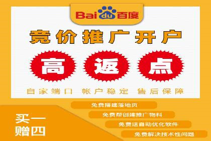 金融行业开户返点策略成功实例